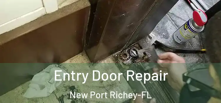  Entry Door Repair New Port Richey-FL