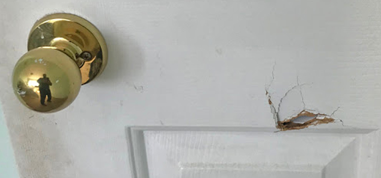 interior door hole repair New Port Richey