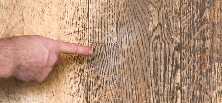 Wood Door Scratch Repair in New Port Richey