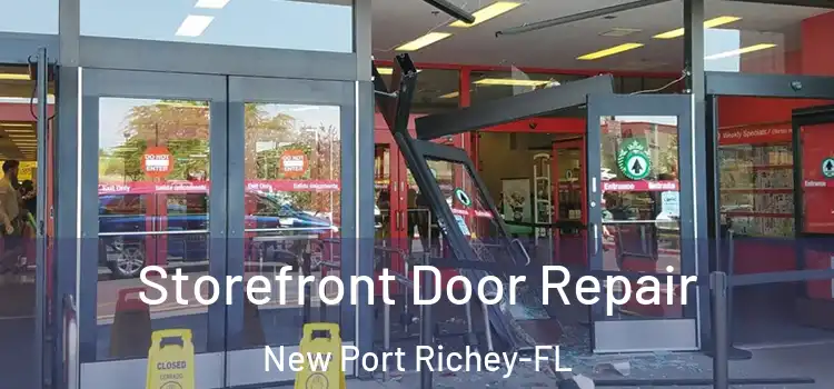  Storefront Door Repair New Port Richey-FL
